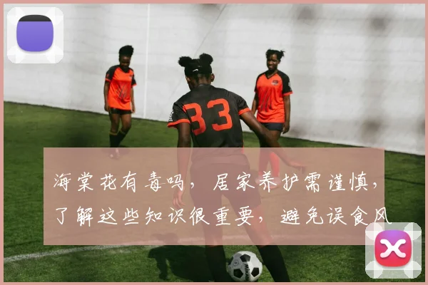 海棠花有毒吗，居家养护需谨慎，了解这些知识很重要，避免误食风险，安全第一。
