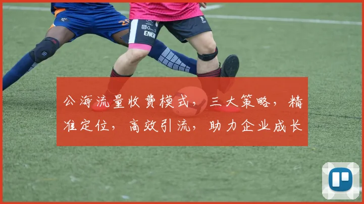 公海流量收费模式，三大策略，精准定位，高效引流，助力企业成长