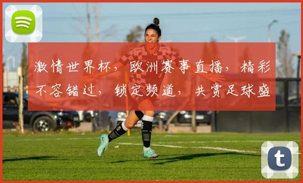 激情世界杯，欧洲赛事直播，精彩不容错过，锁定频道，共赏足球盛宴