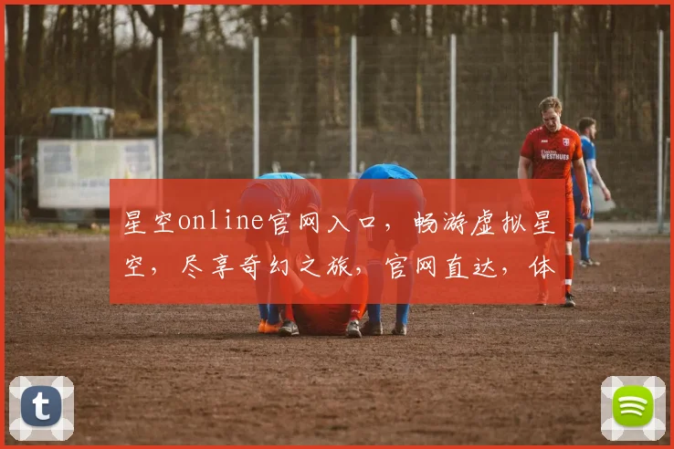 星空online官网入口，畅游虚拟星空，尽享奇幻之旅，官网直达，体验非凡