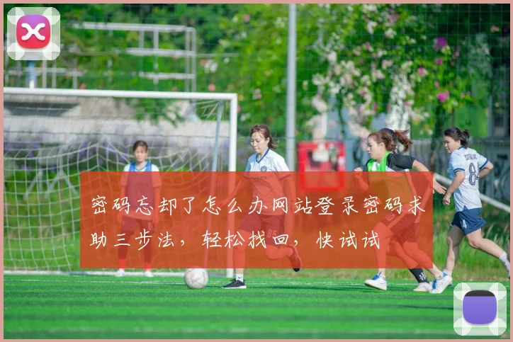 密码忘却了怎么办网站登录密码求助三步法，轻松找回，快试试
