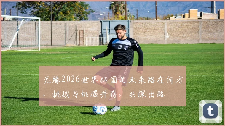 无缘2026世界杯国足未来路在何方，挑战与机遇并存，共探出路
