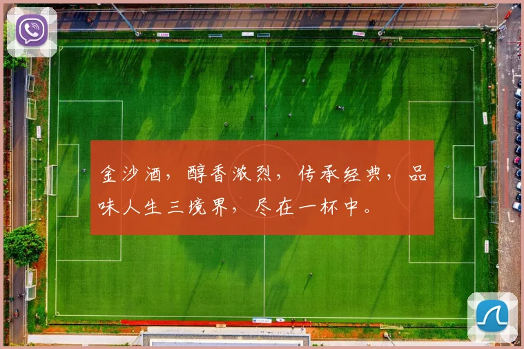 金沙酒，醇香浓烈，传承经典，品味人生三境界，尽在一杯中。
