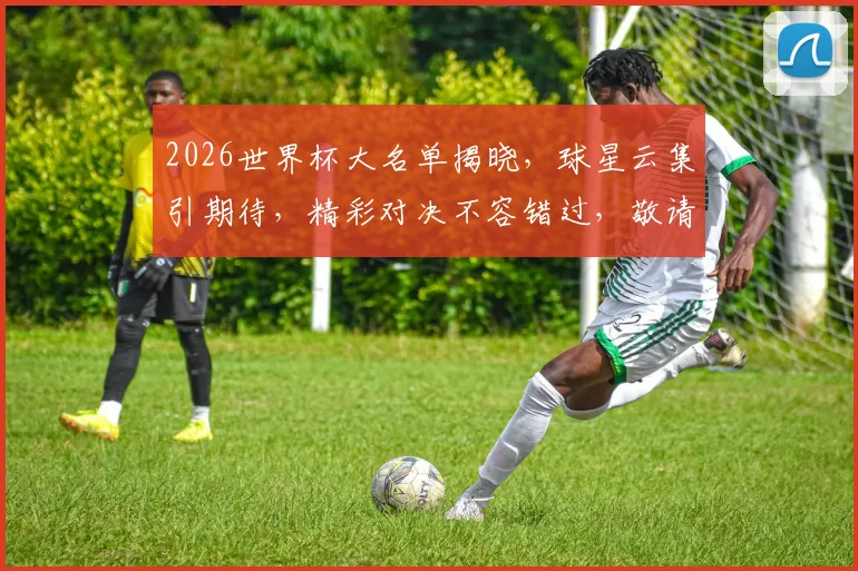 2026世界杯大名单揭晓，球星云集引期待，精彩对决不容错过，敬请关注